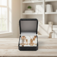 Ladies Premium Jewellery Watch